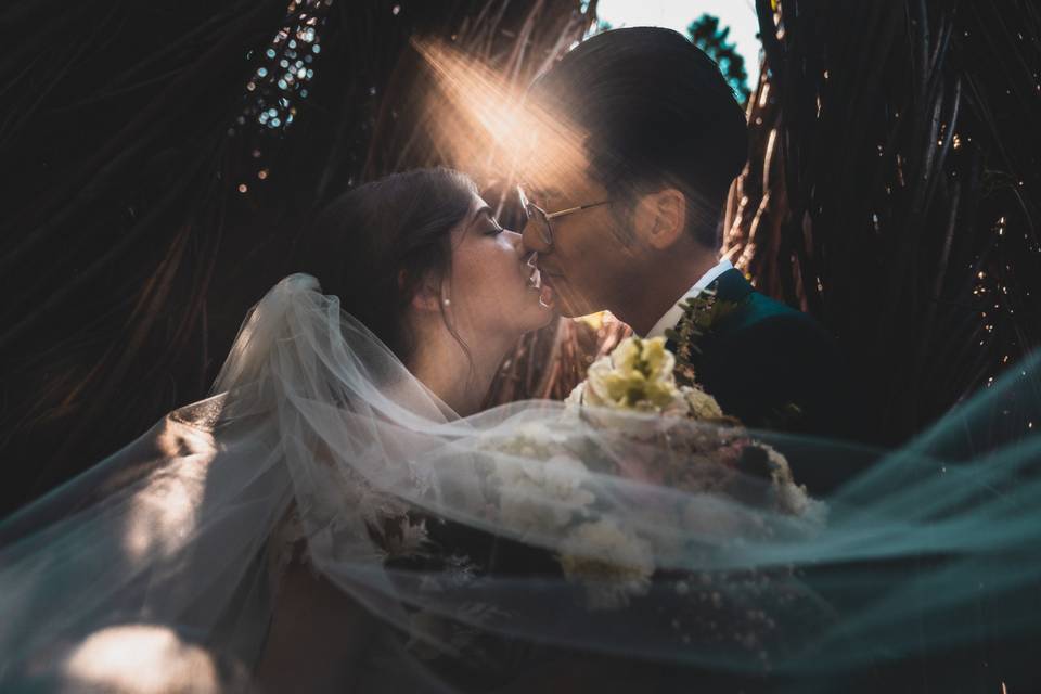 Eugene Novar Photography - Kiss in the sunshine