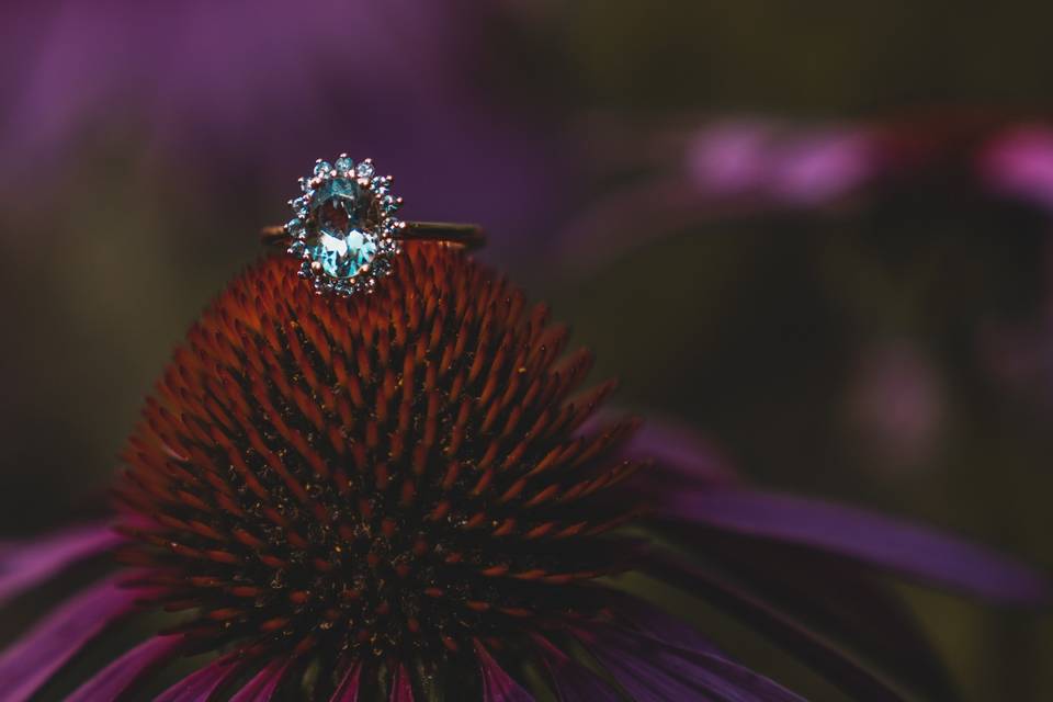 Eugene Novar Photography - Wedding ring jewel