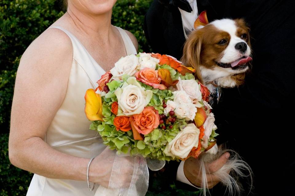 Couple portrait with dog