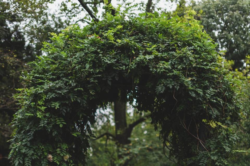 Hendry House wedding arch