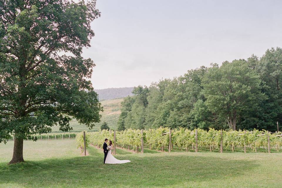 Veritas Vineyards portrait