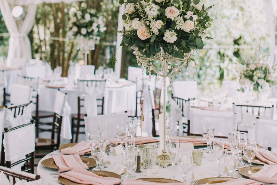 Fern & Vine Floral Design