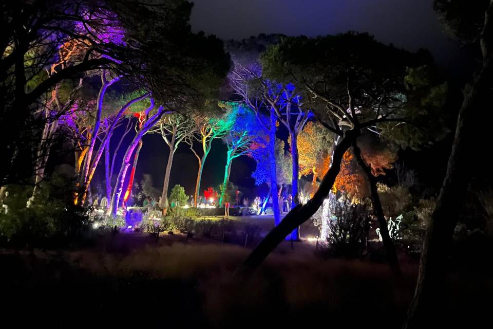 Lights