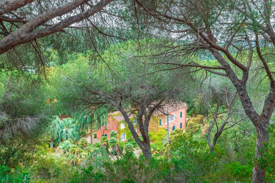 Villa le palme