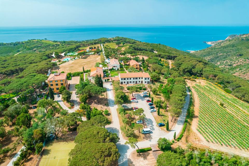 Aerial view
