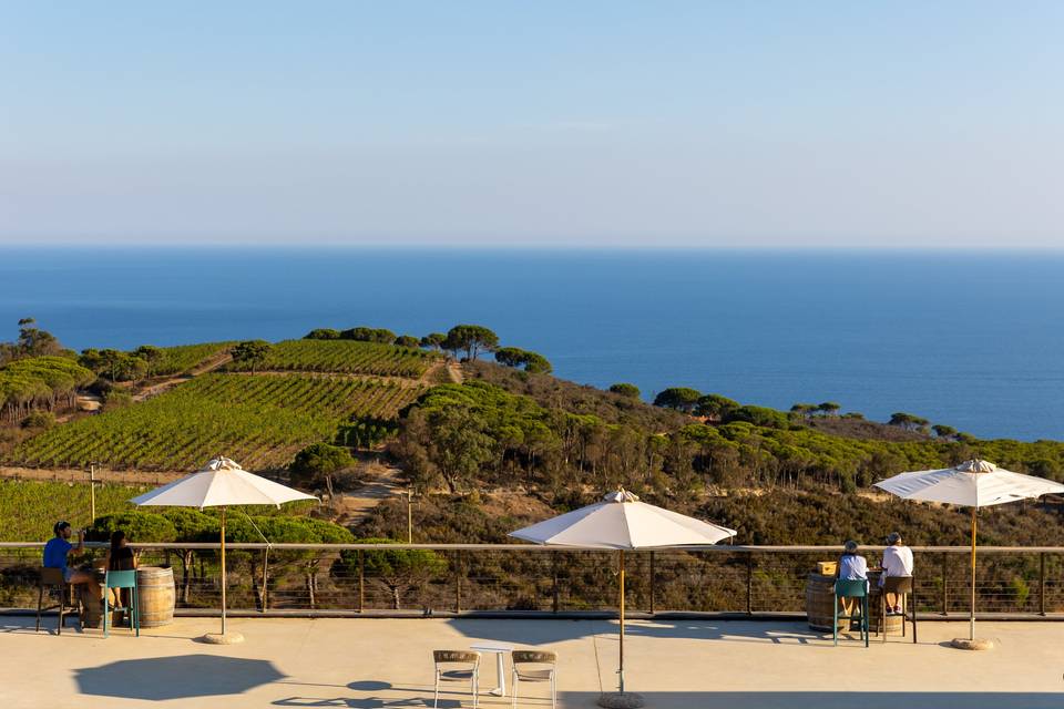 Tobia Scarpa Wine cellar