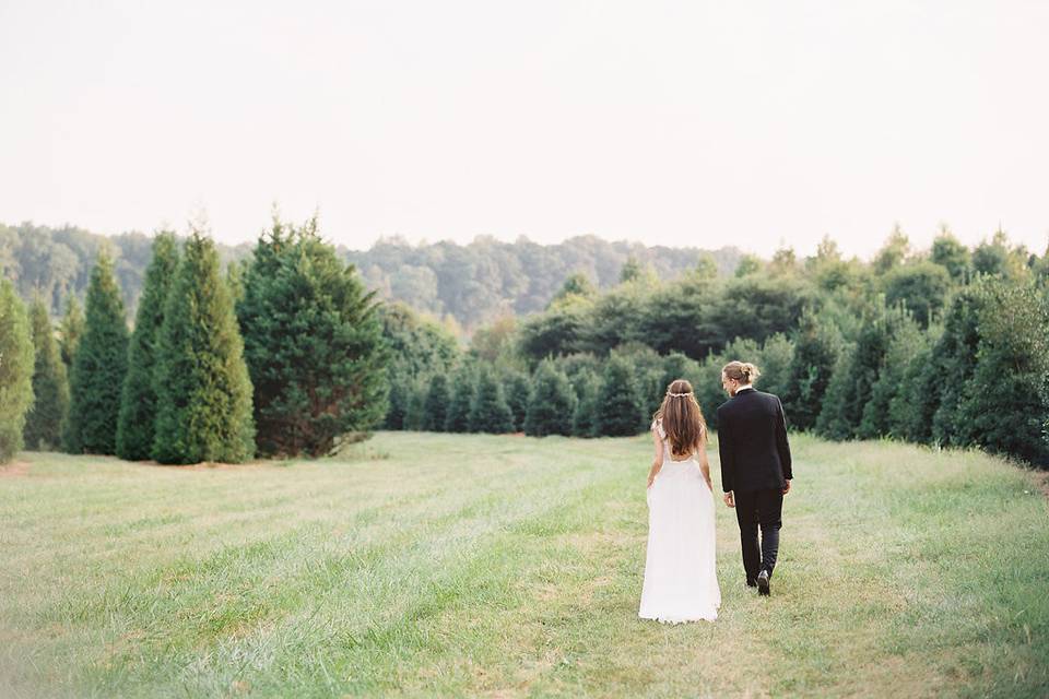 1000-acre tree nursery