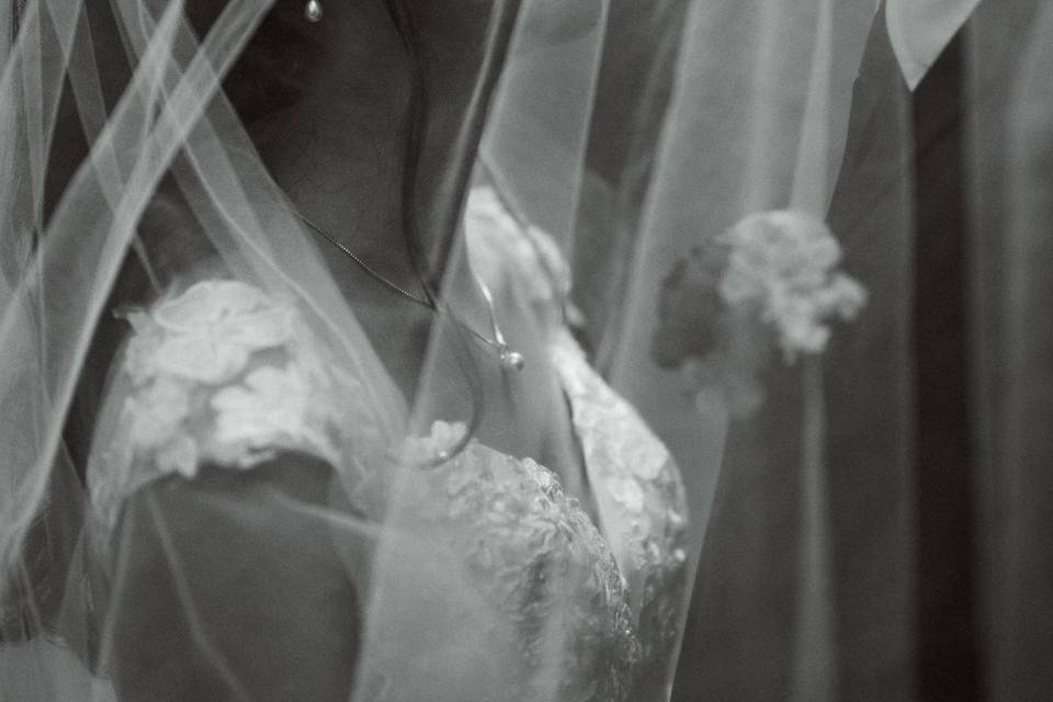 Mercy Dunham Photography