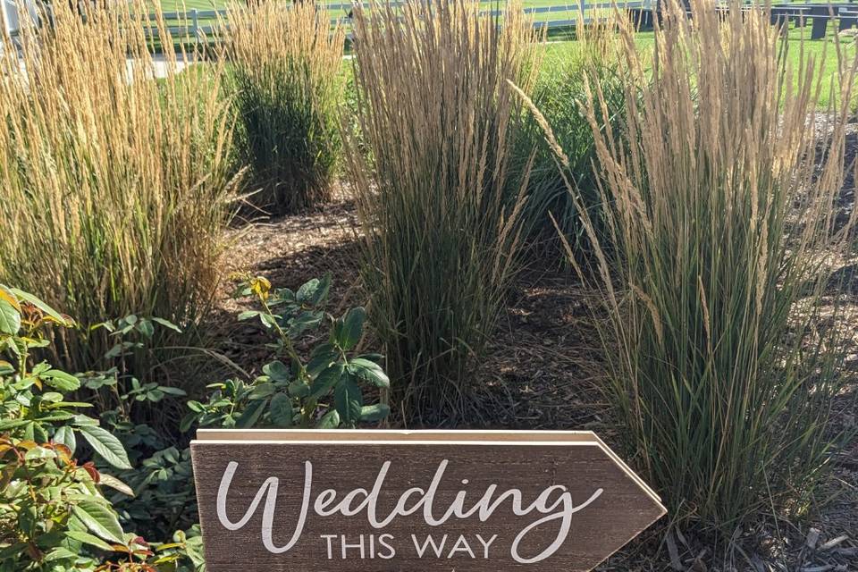 Wedding Time