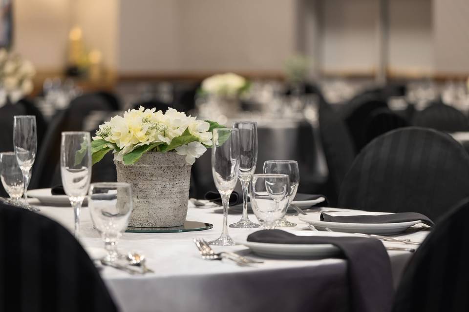 Social Dinner