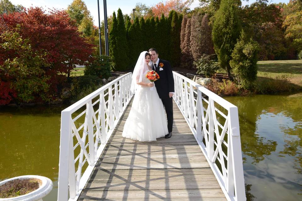 Bridge Over Steady Water