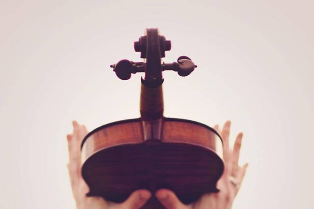 Meghan Lyons King, Violinist