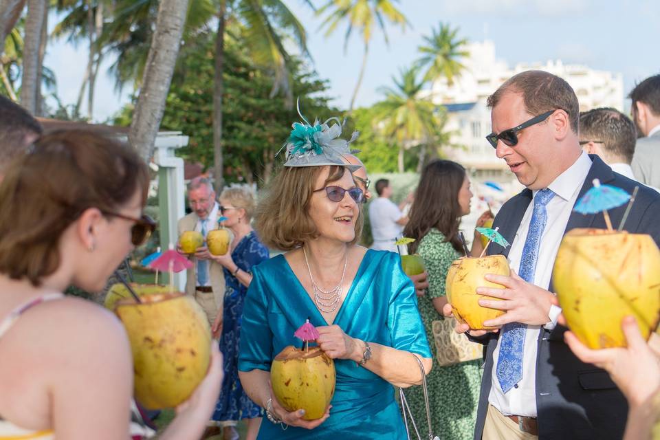 Coconuts with Rum Punch