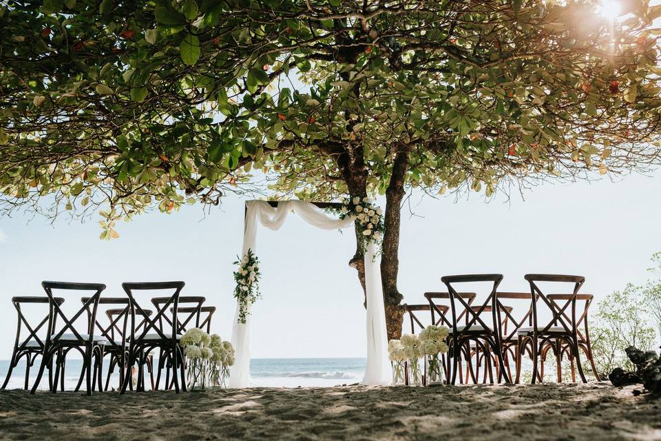 Ceremony decor with arch decorated by flowers, X-back chairs on the beach