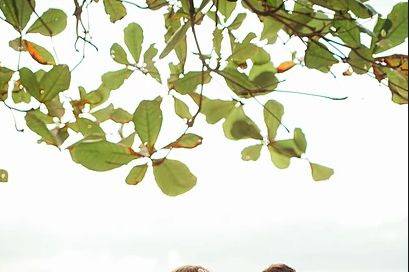 Couple sitting on bamboo swing