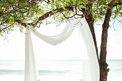 White frabric hanging from a tree makes the perfect altar