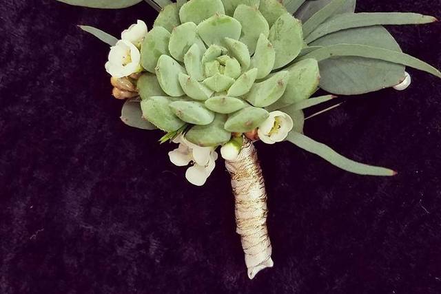 Fred's Flowers