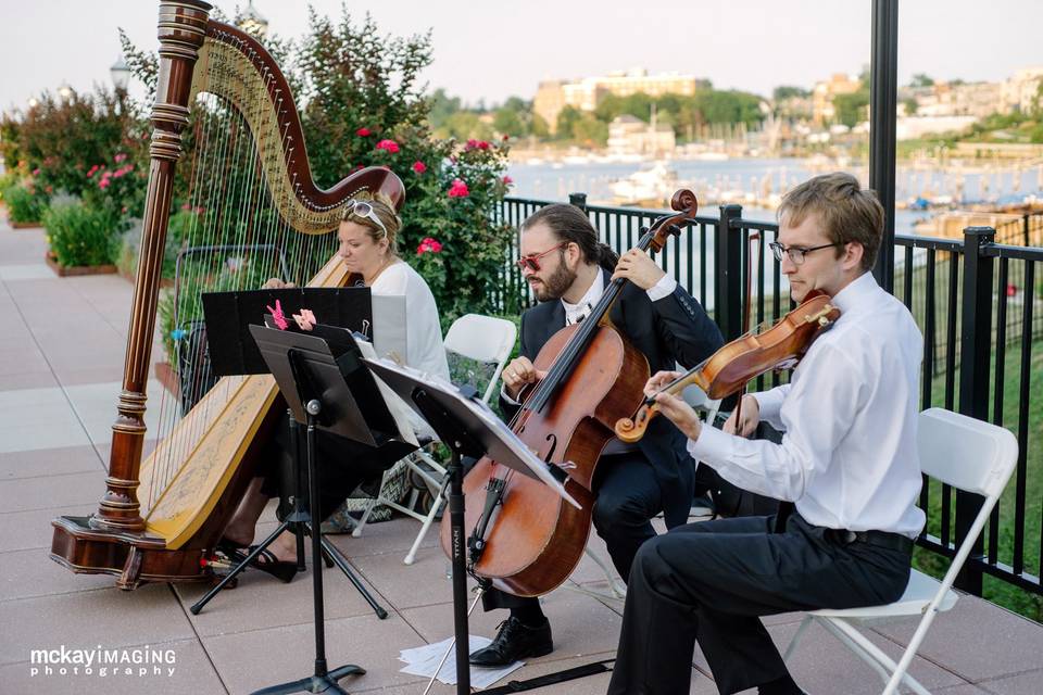 Flute & Guitar Jazz Duo