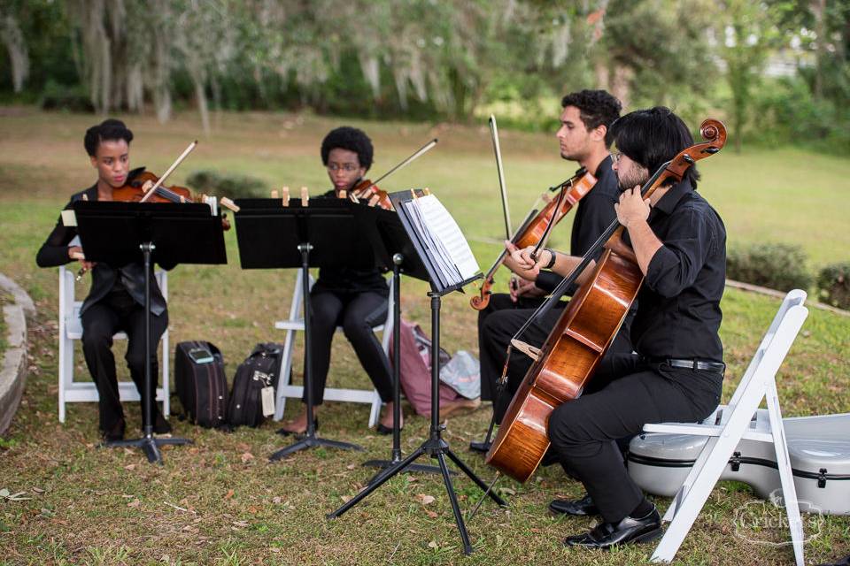 String Quartet