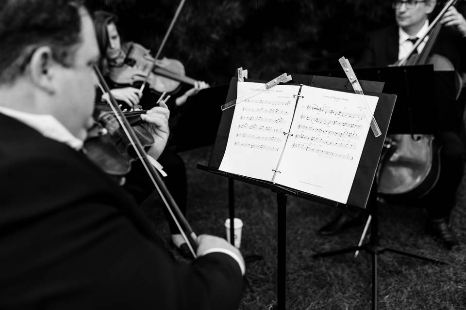 String Quartet