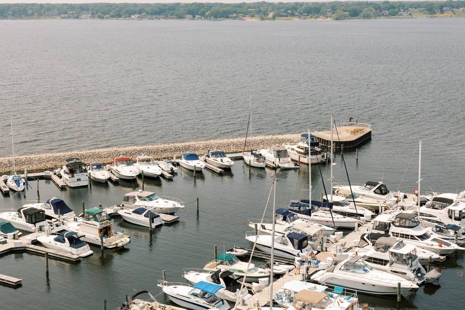 Area Picture of The Point