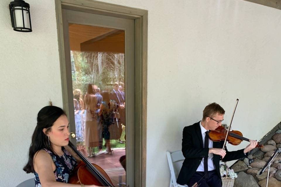 Wedding musicians - String duo