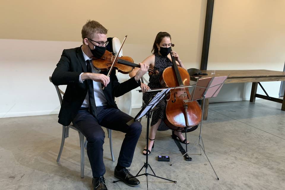 Violin and cello duo
