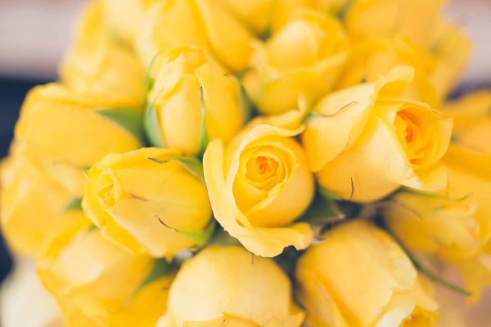 Bouquet of yellow roses