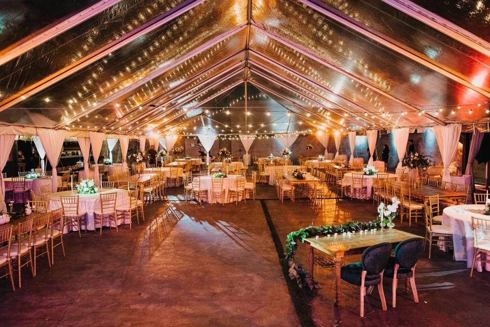 Wedding Reception
