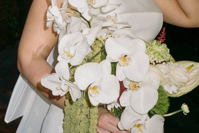 Perfect Bridal- Orchid Edit
