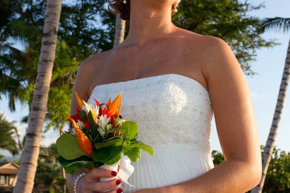 Low angle bride Hawaii