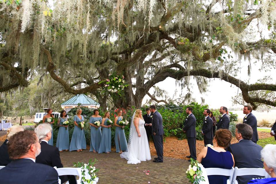 Ceremony beneath the Live Oaks