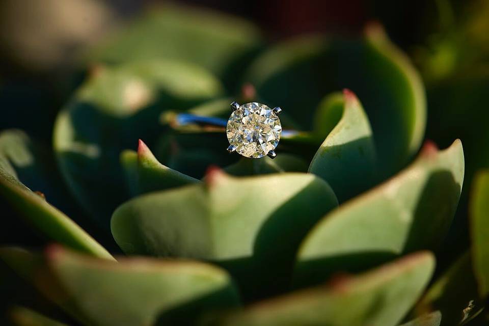 Golden hour ring pictures