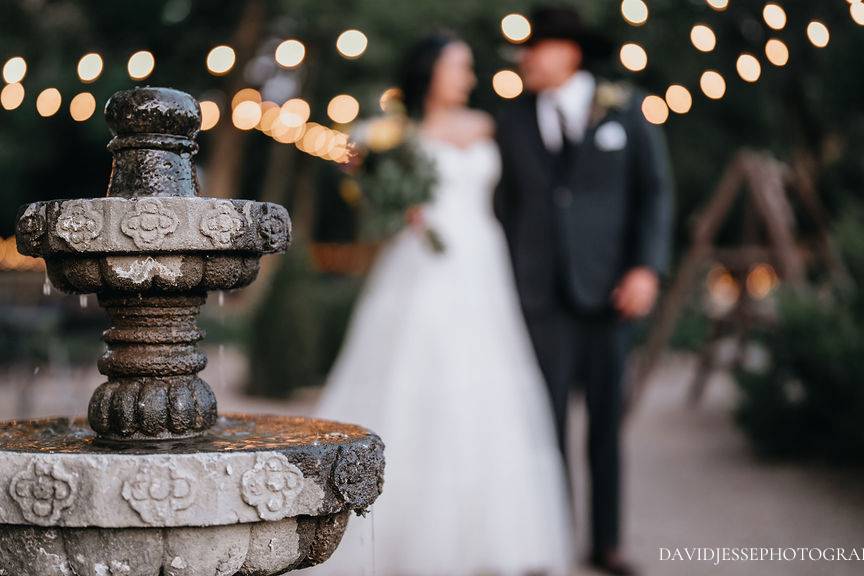 David Jesse Photography