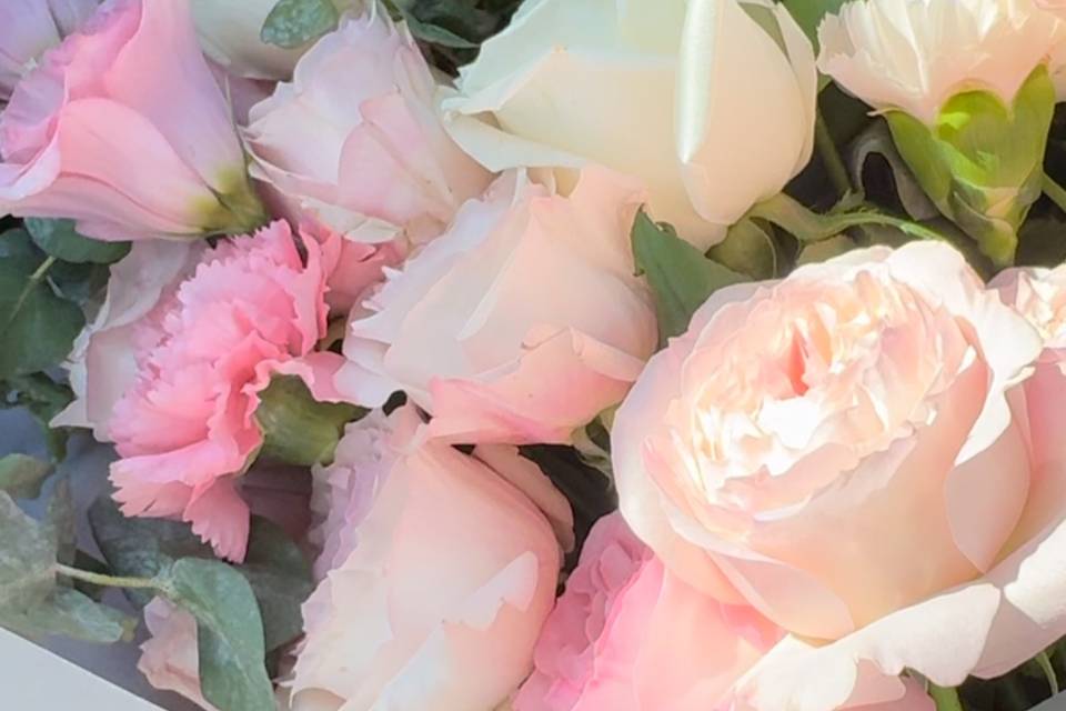 Mashka Bloom LLC