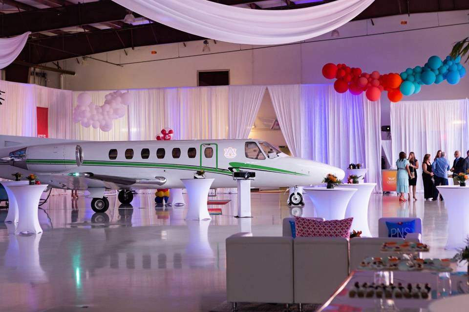 Private Jet Party