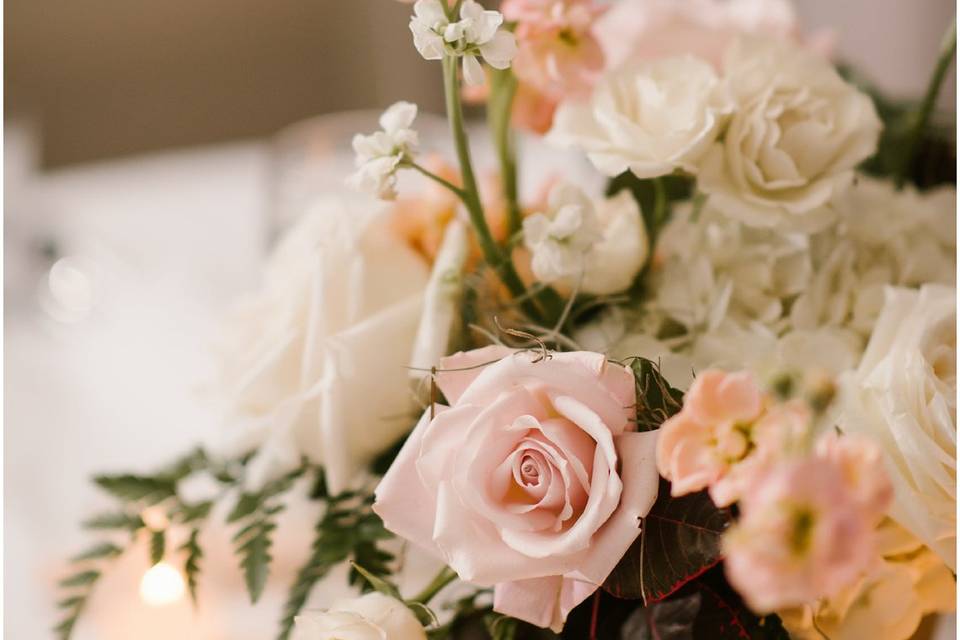 Blush flowers