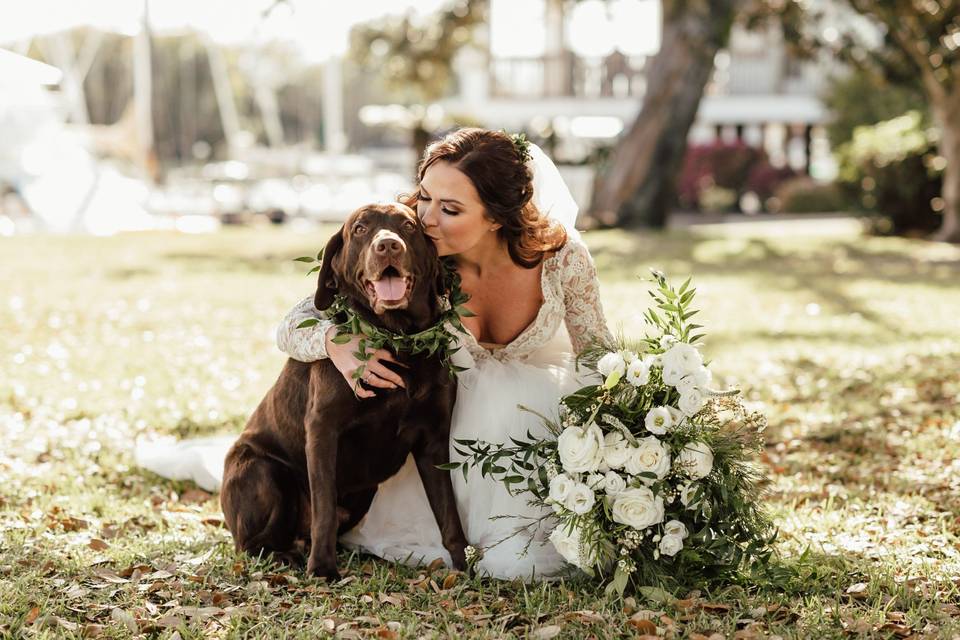 Just a Bride and Pup