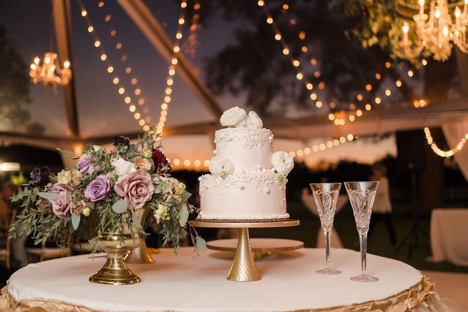 Wedding cake + Lights