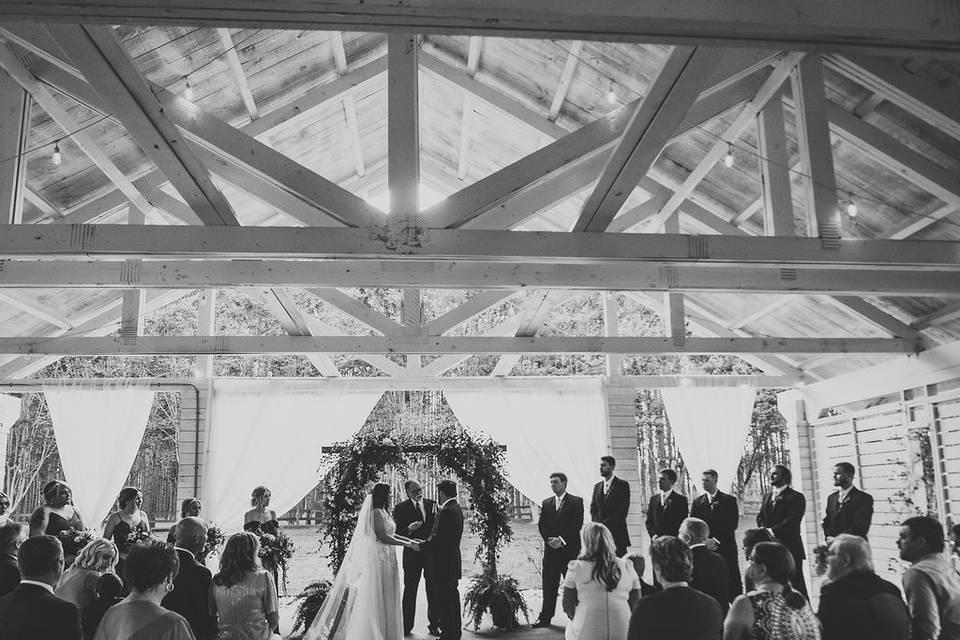 First Dance under the stars