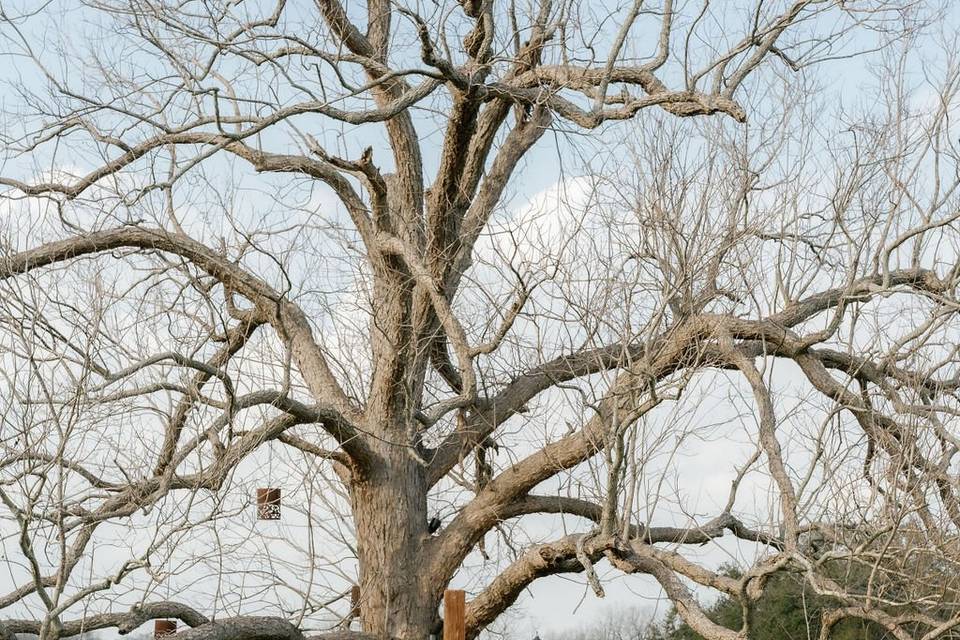 Outdoor Ceremony at The Barn