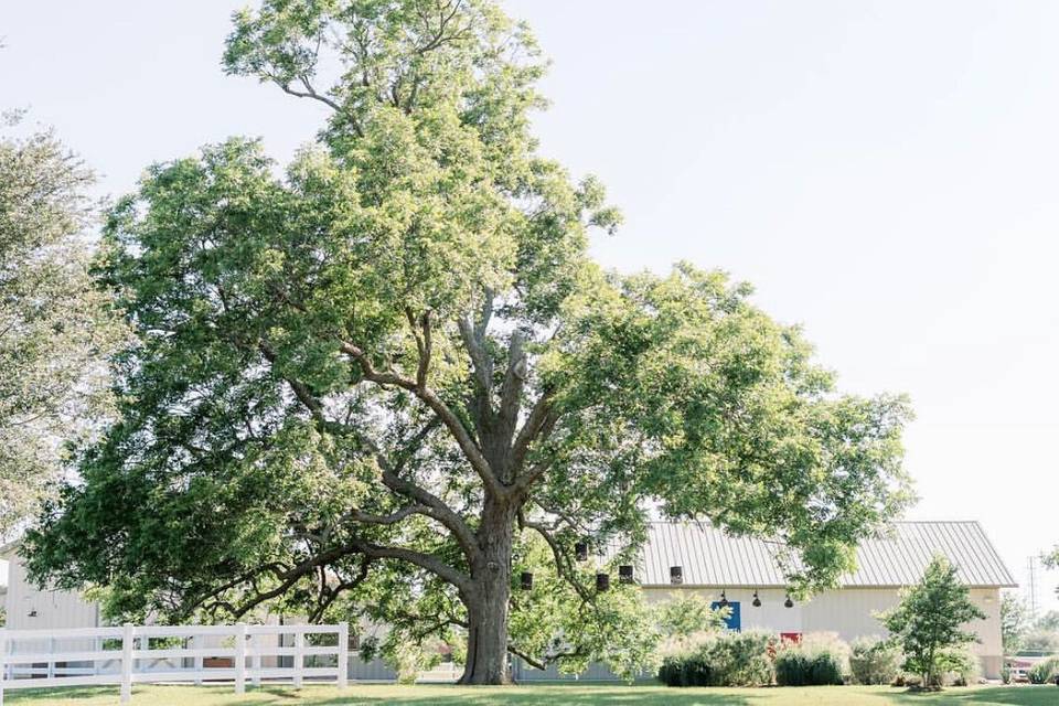 The Barn