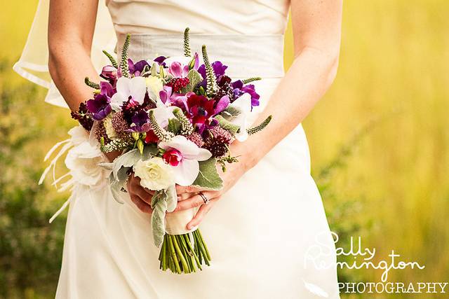 Sally Remington Photography