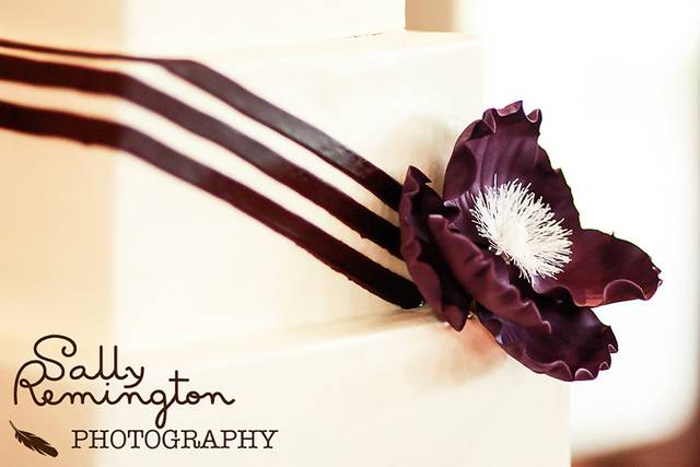 Sally Remington Photography
