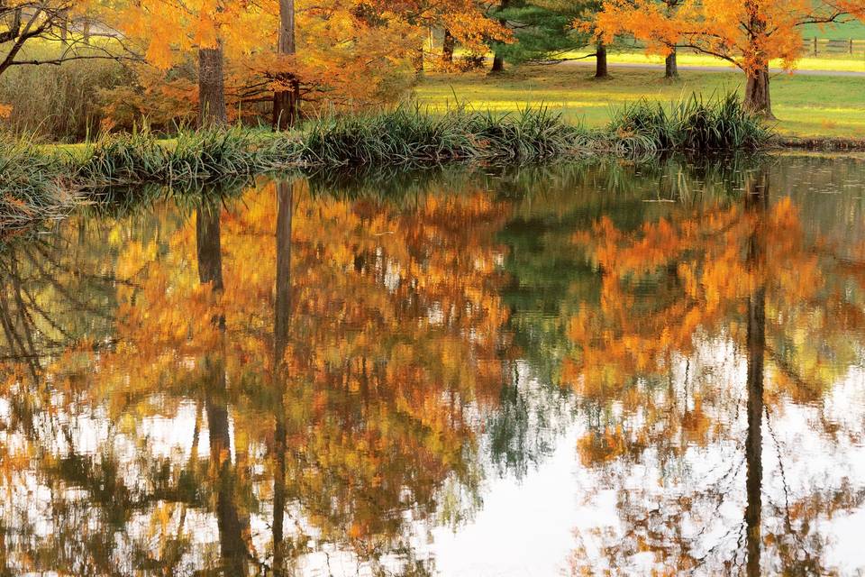The Ponds in Autumn