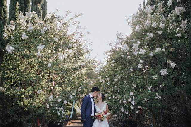 XOXO Weddings