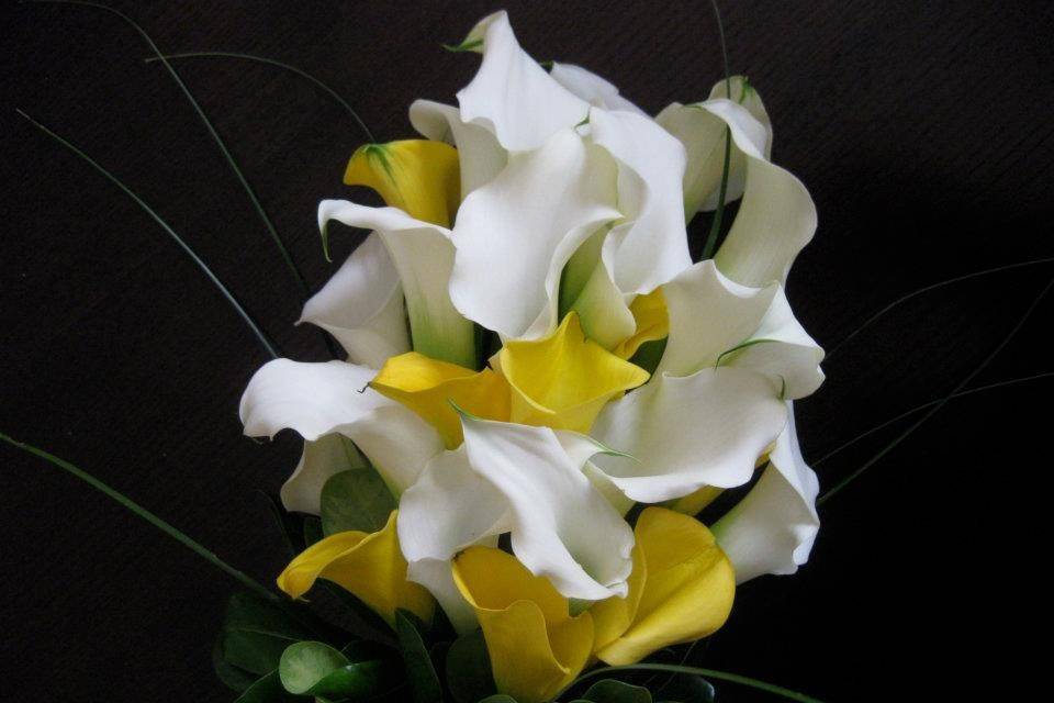 Fairie Tale Flowers