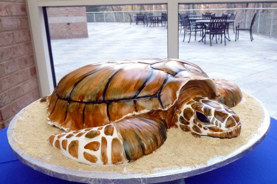 Turtle groom's cake for marine biologist.