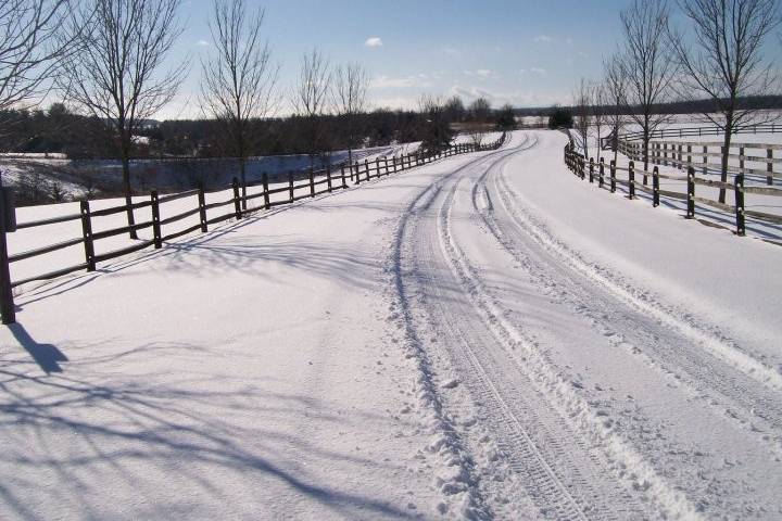 The Vermont Wedding Barn at Champlain Valley Alpacas