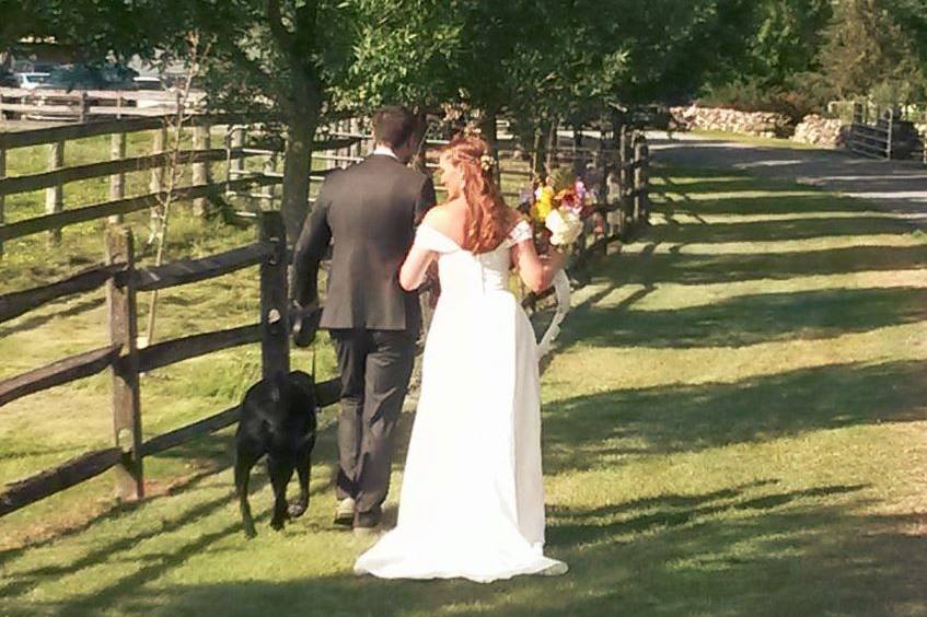 The Vermont Wedding Barn at Champlain Valley Alpacas